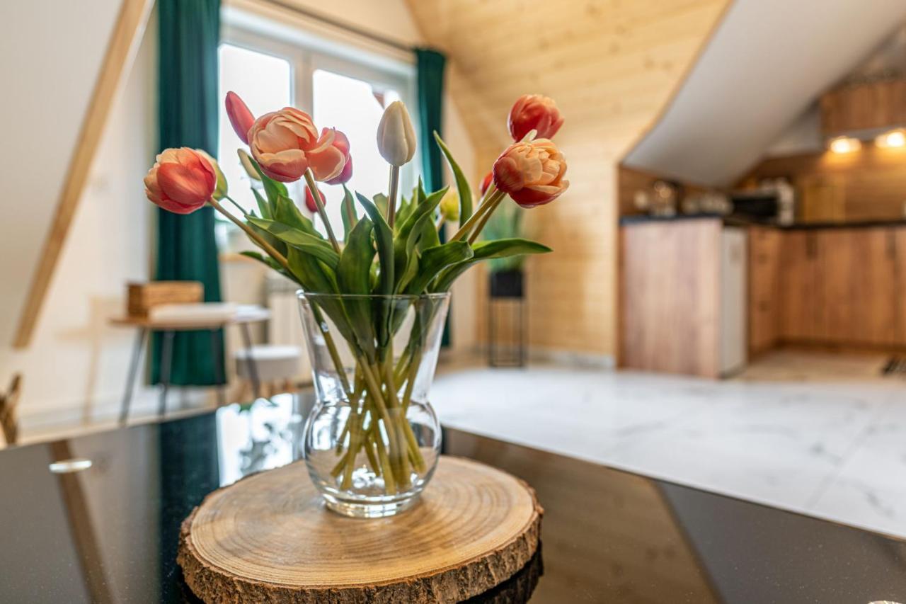 Widokowy Apartament - Pokoje Goscinne Banska Wyzna Luaran gambar